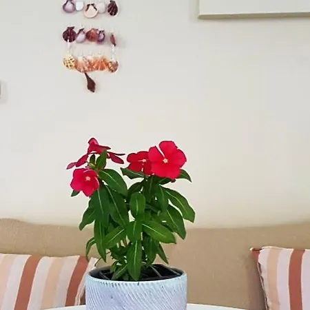 Fyllou