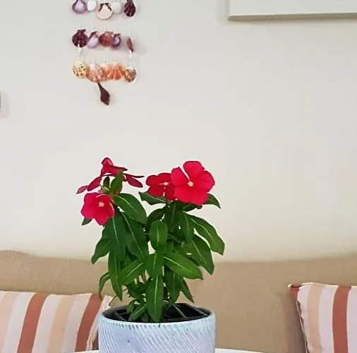 Fyllou